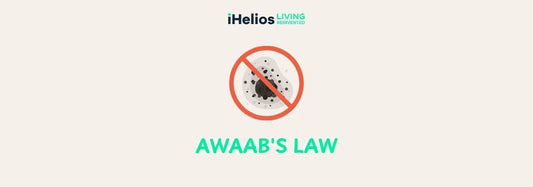 Awaab’s Law How Prevent Damp & Mould in Homes Solution - iHelios Living