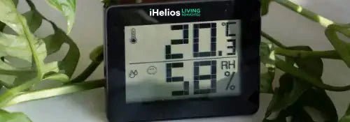 Humidity Health Risks in UK Homes & How iHelios Infrared Heating Helps - iHelios Living