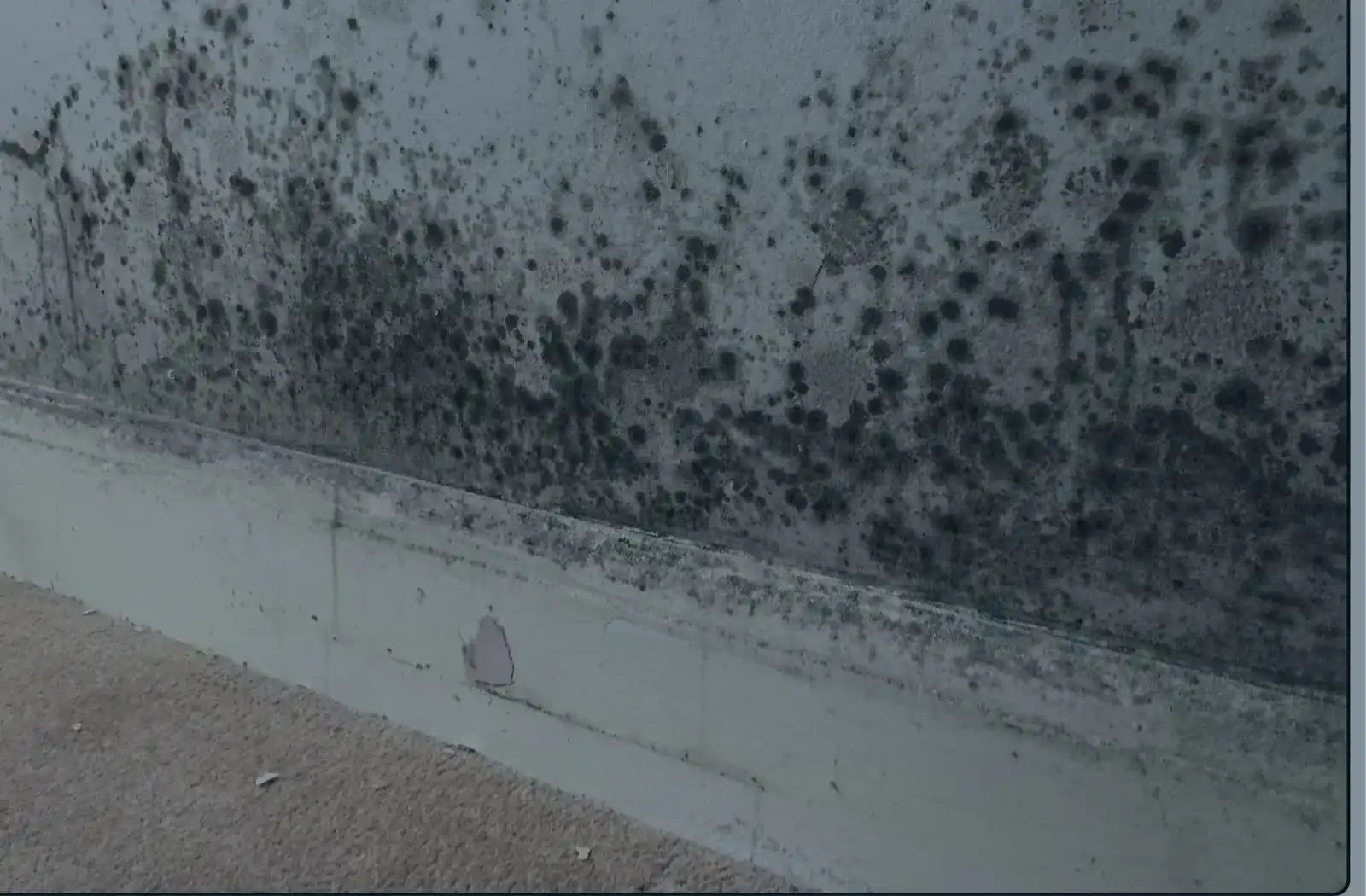 Infrared Heaters Reduce Damp and Condensaton iHelios