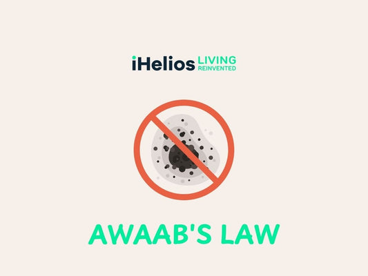 Awaab’s Law: Preventing Damp & Mould with iHelios - iHelios Living