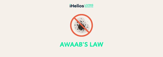 Awaab’s Law: Preventing Damp & Mould in Homes – Effective Solutions